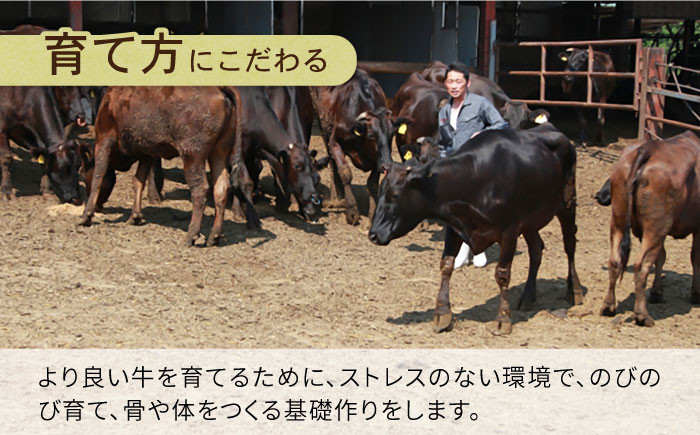 和牛 切り落とし