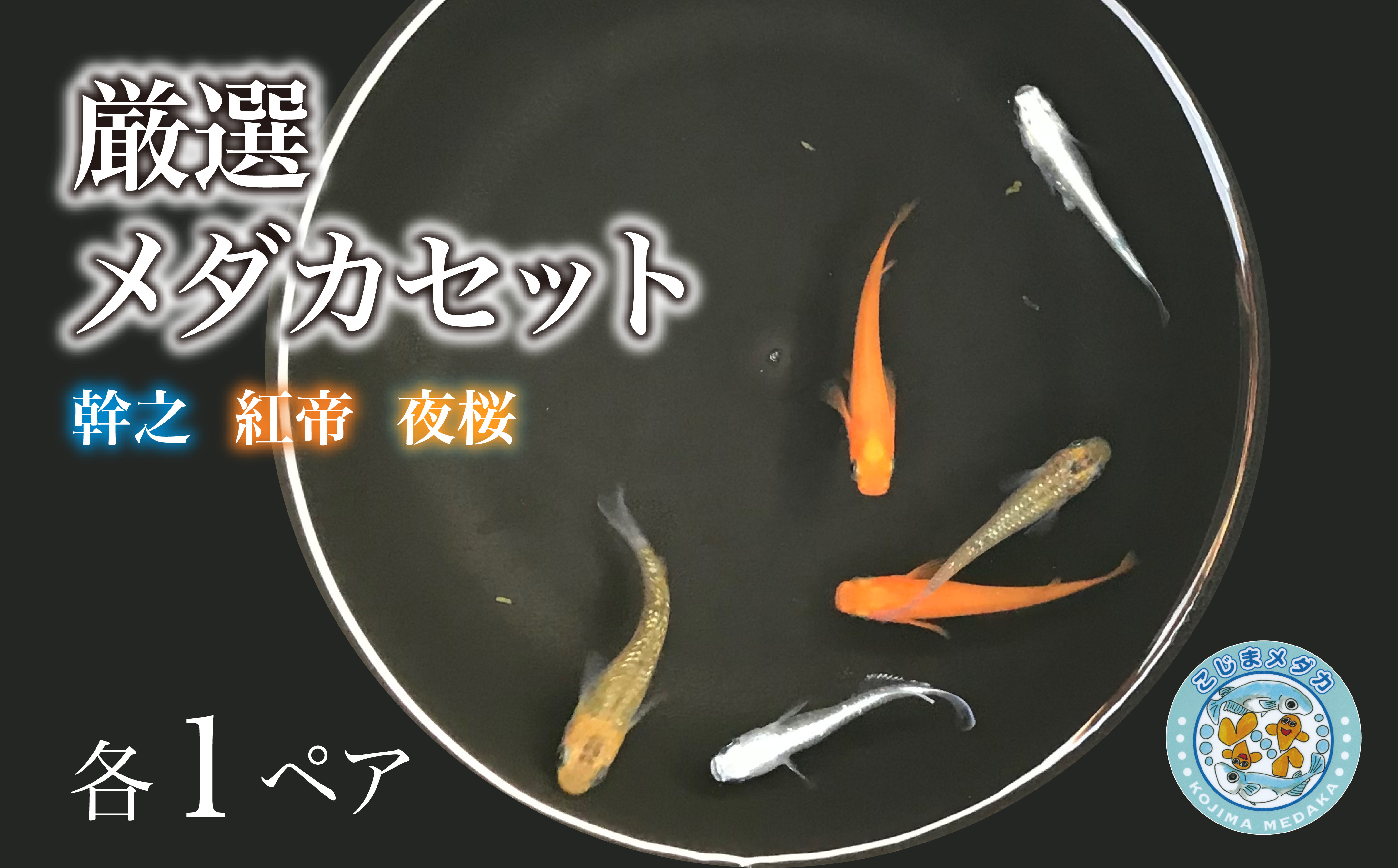 幹之、紅帝、夜桜　3種各1ペア