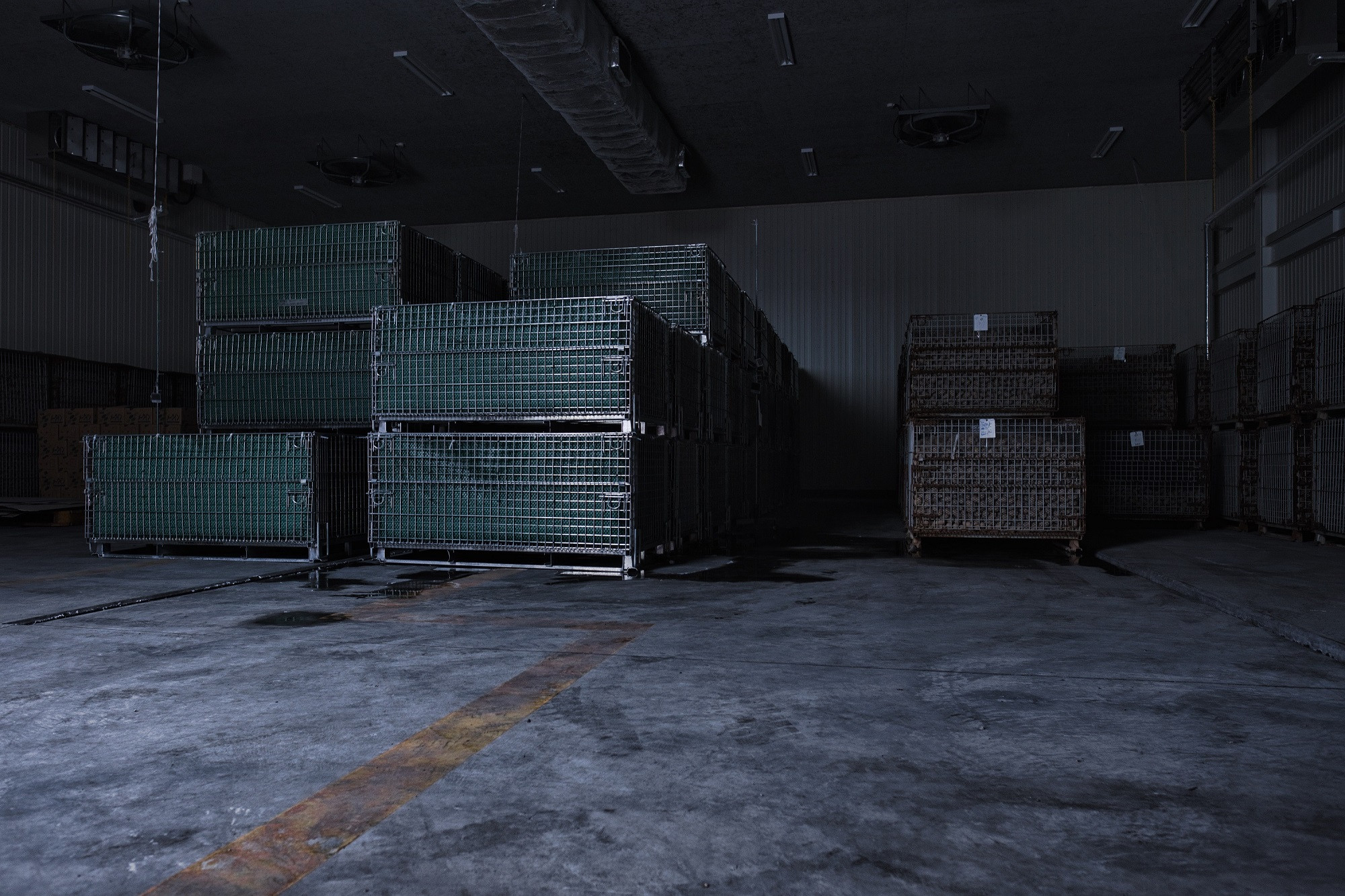 じゃがいも ジャガイモ メークイン 芋 野菜 北海道 