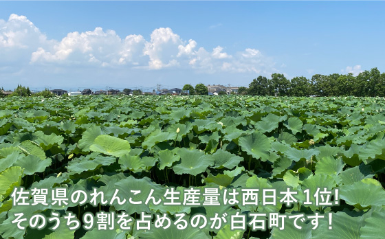 うちの祖母は満103歳 長寿の秘訣は白石れんこんです！