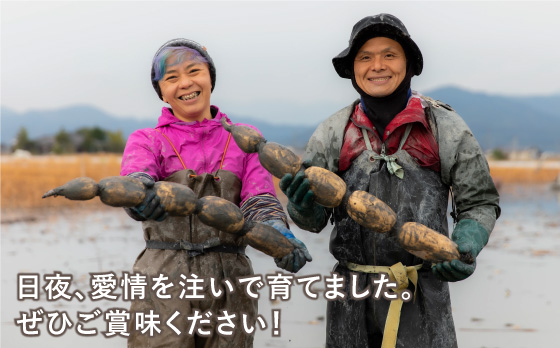 うちの祖母は満103歳 長寿の秘訣は白石れんこんです！