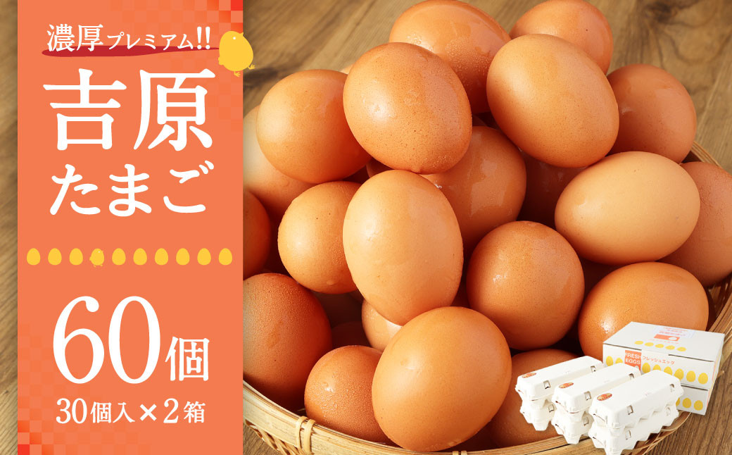濃厚プレミアム!!吉原たまご2箱  30個入り×2箱 計60個 卵 たまご