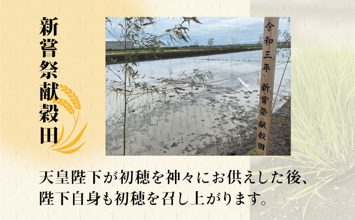 ヒヨクモチ 精米 7kg【かづやの農園】[HAP007]