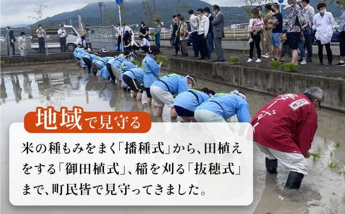 ヒヨクモチ 精米 7kg【かづやの農園】[HAP007]