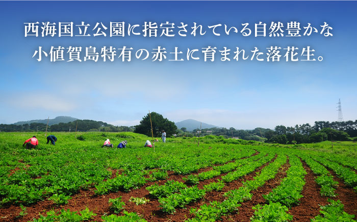 落花生 ピーナツ 小値賀