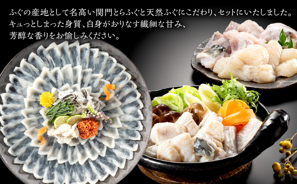 【配送日指定必須】とらふぐ刺身・ふぐ鍋セット白子付き(4～5人前)