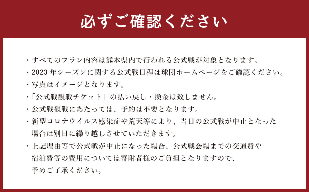 火の国サラマンダーズ 公式戦チケット30枚セット