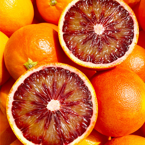 熊本産 ブラッドオレンジ 4キロ前後