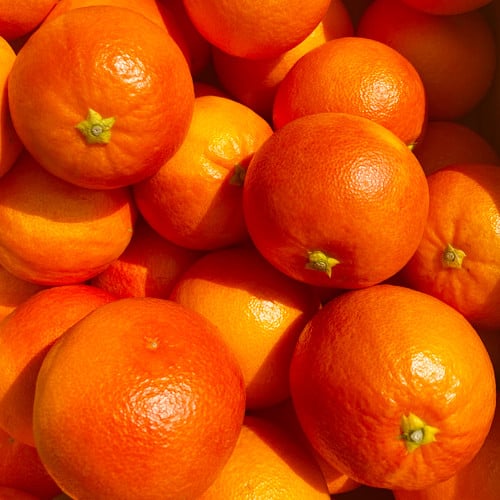 熊本産 ブラッドオレンジ 4キロ前後