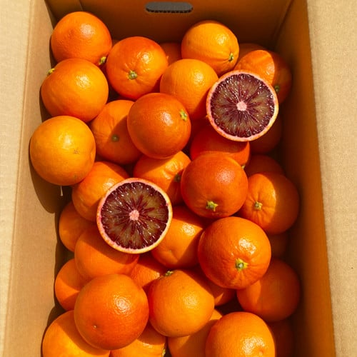 熊本産 ブラッドオレンジ 4キロ前後