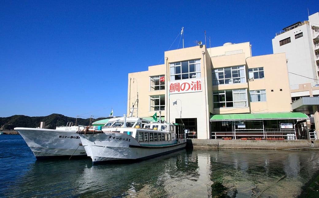 千葉県特別天然記念物“神秘の鯛”と鴨川（安房小湊）の絶景をめぐる遊覧船『鯛の浦遊覧船』