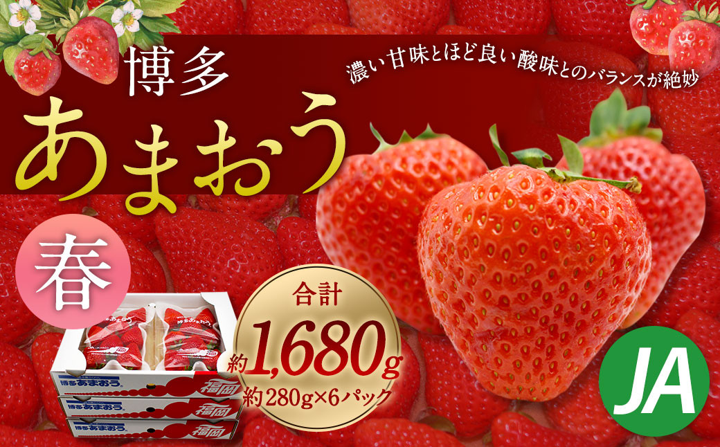 博多あまおう6パック(春)