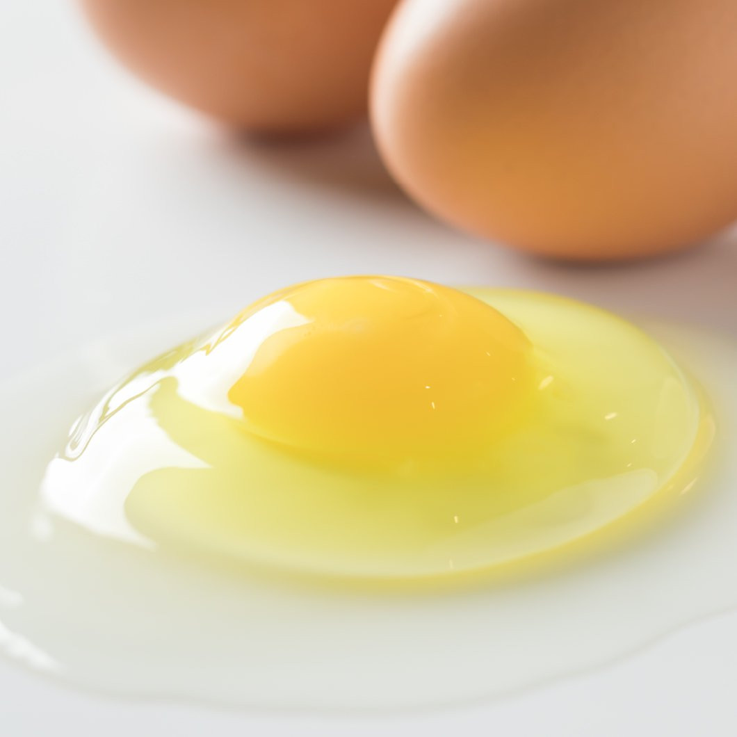 プリン ぷりん デザート スイーツ たまご 卵 鶏卵 玉子 生卵 平飼い 北海道