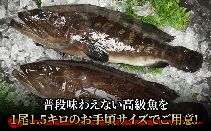 海鮮 新鮮 刺身 鍋 五島 クエ鍋 鮮魚 正月 海鮮鍋