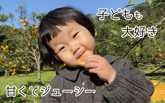 甘さと酸味が程よく、子どもたちも大好きなたんかん。毎年たんかんの時期を待ちわびています。