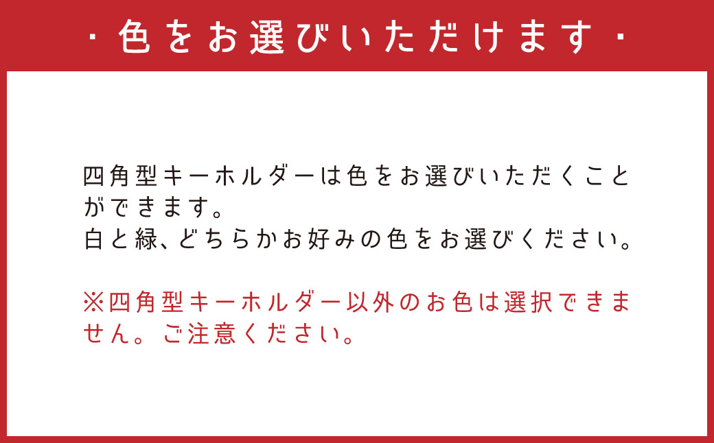 世界自然遺産登録記念 天城町 限定 本革 キーホルダー  Bセット マスコットキャラクター あまぎくん