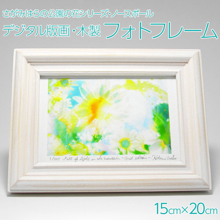 鹿沼公園のノースポールをモチーフにしたデジタル版画です