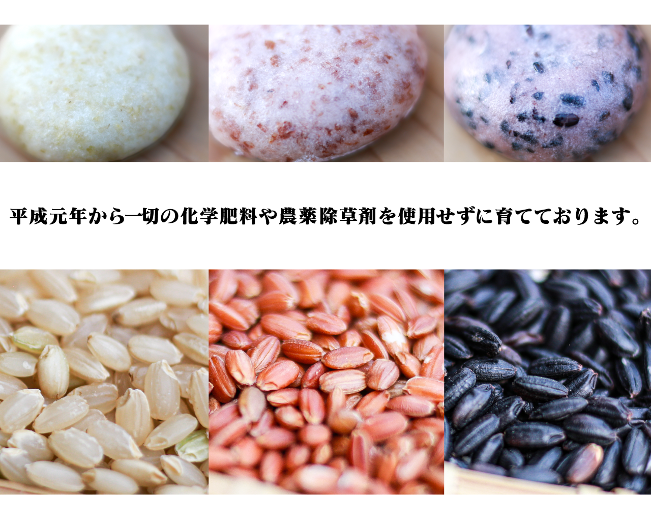 お正月用 もち 合計1.6kg ( 黒米もち 赤米もち 緑玄米もち 白もち )×各400g  