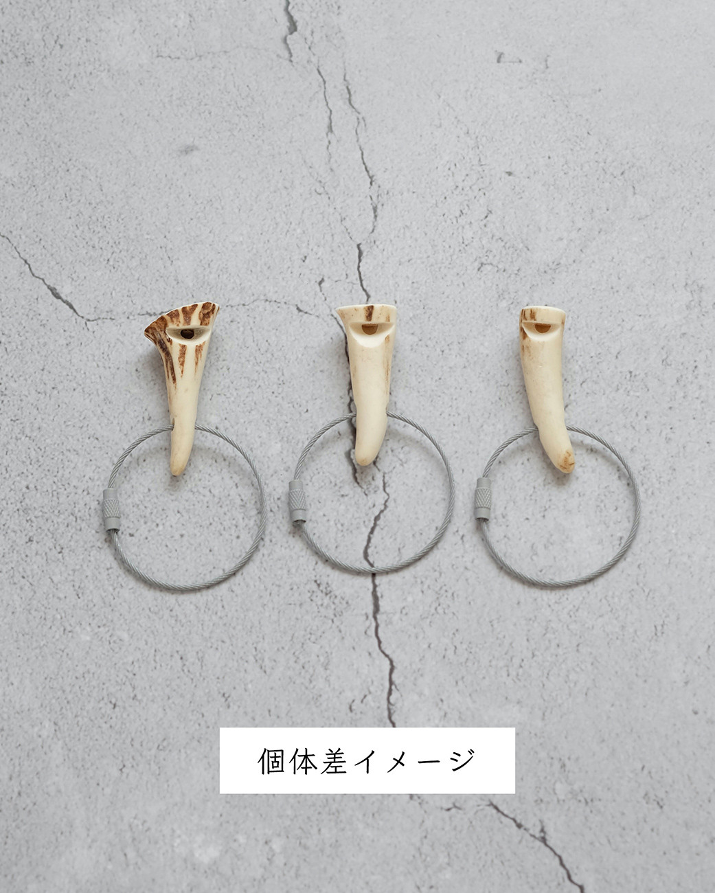 お届けイメージ