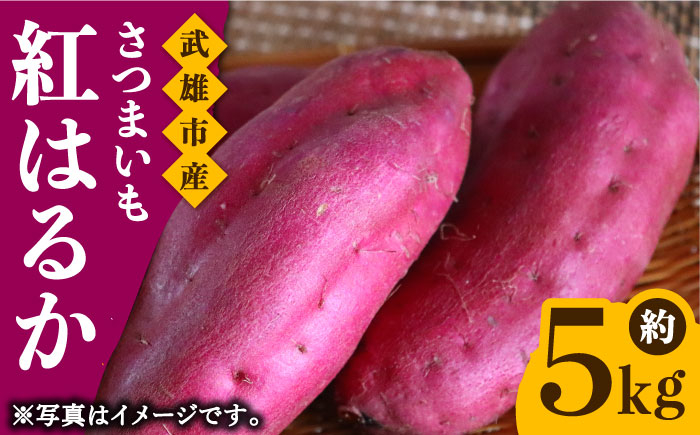 【定番の焼き芋から様々なお料理に！】佐賀県武雄市産 さつまいも 紅はるか 約5kg /おかわりのうえん [UDD001] 芋 い