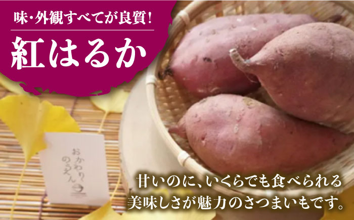 【定番の焼き芋から様々なお料理に！】佐賀県武雄市産 さつまいも 紅はるか 約5kg /おかわりのうえん [UDD001] 芋 い