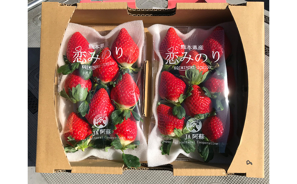 熊本県産 苺 旬の品種 (2種) 約1.5キロ 前後