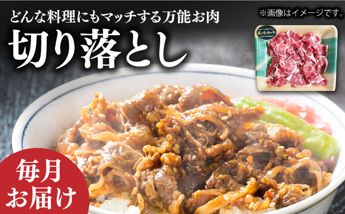 長崎和牛 メイン ＆ 切り落とし セット