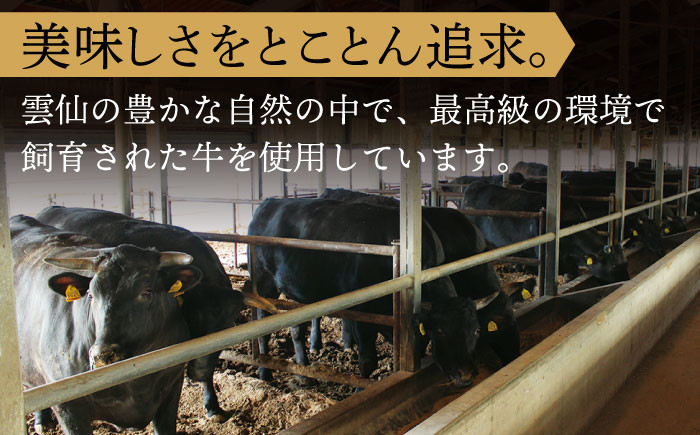 【すき焼きやしゃぶしゃぶ!】長崎和牛 しゃぶしゃぶ・すき焼き用  肩ロース 約800g