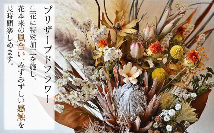 【飾るだけでお部屋を華やかに！】プリザーブドフラワー ビタミンカラーのプロテアスワッグ /はなぜん [UDC002] 壁飾り 花