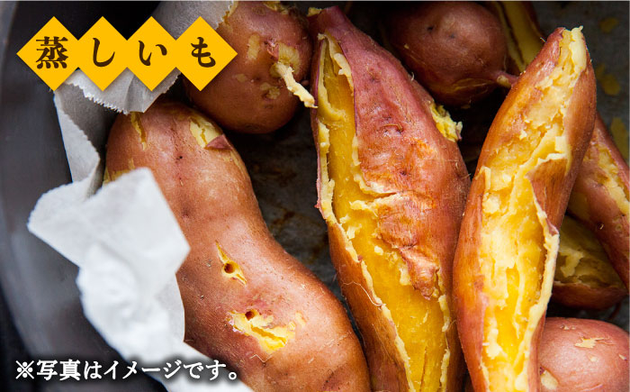 【定番の焼き芋から様々なお料理に！】佐賀県武雄市産 さつまいも 紅はるか 約5kg /おかわりのうえん [UDD001] 芋 い