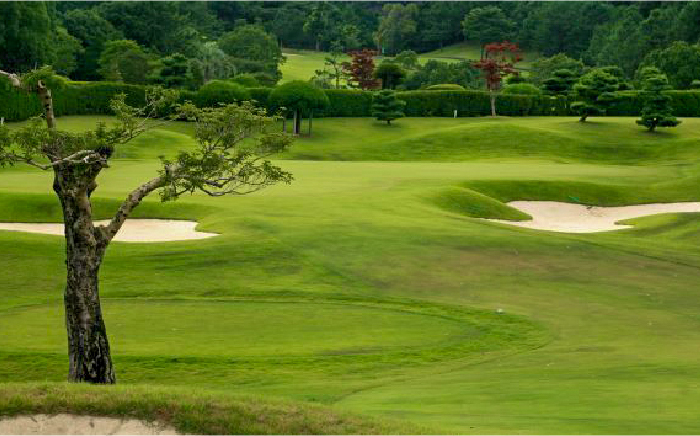 ゴルフ場 ゴルフ ごるふ チケット ちけっと 利用券 プレー券 体験 golf GOLF