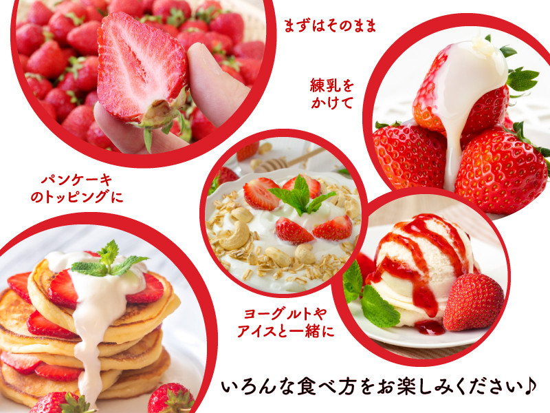 【2023年3月上旬より発送開始】【ふるさと納税限定】 博多 あまおう 約250g×4パック
