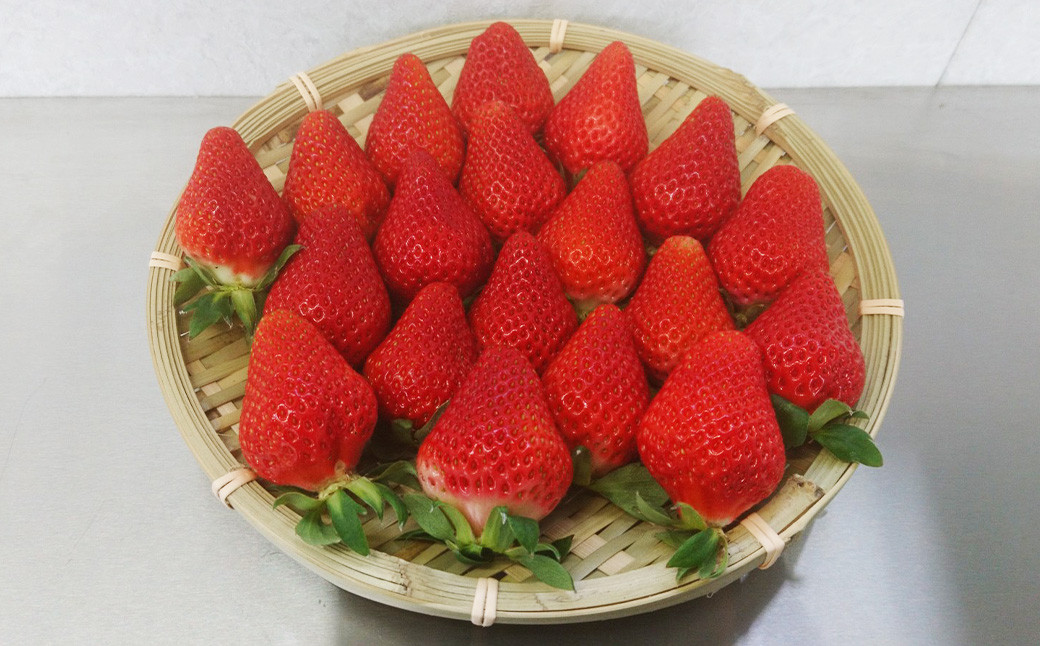 相良村産 いちご「ゆうべに」 250g×6パック