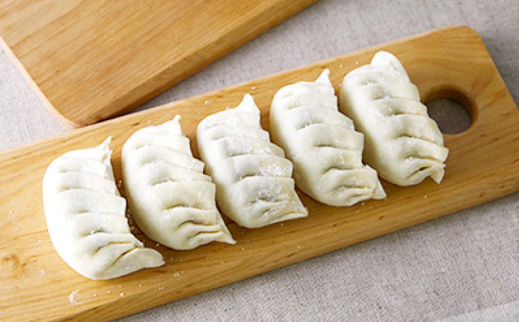 吉祥寺篭蔵のひとくち餃子 12個入り 8パック