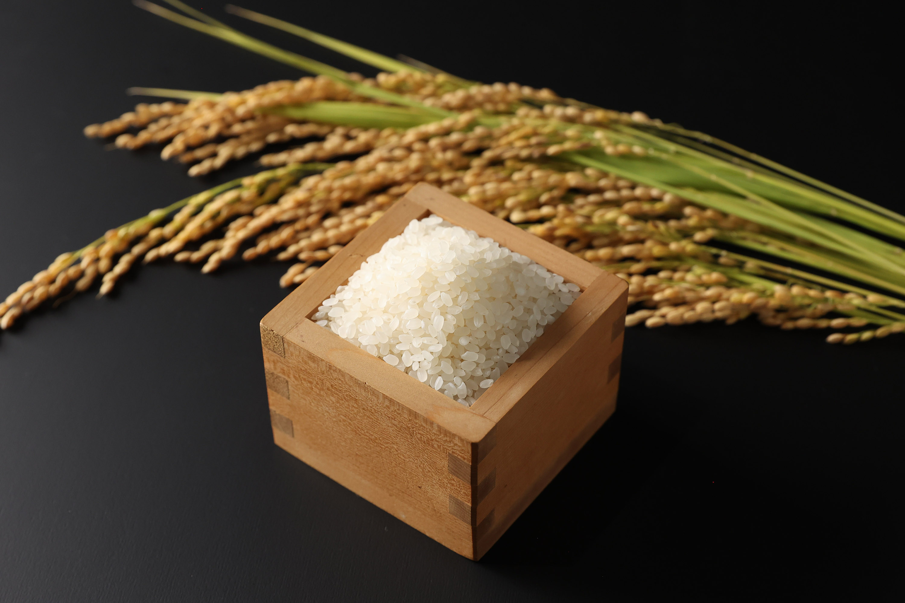 標高450メートルで作られ、うまみと甘味がしっかり感じられます！