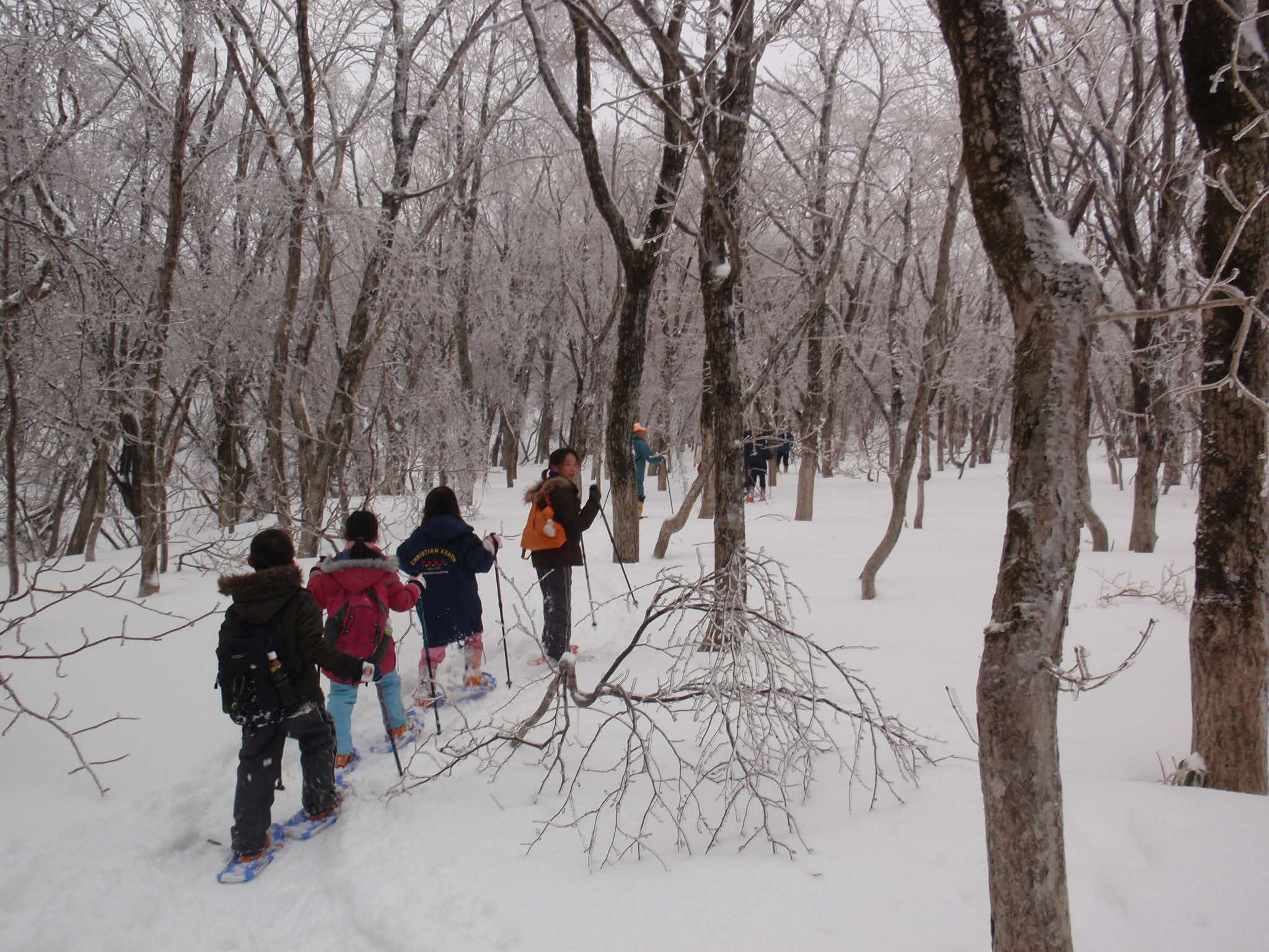 雪山散策の様子