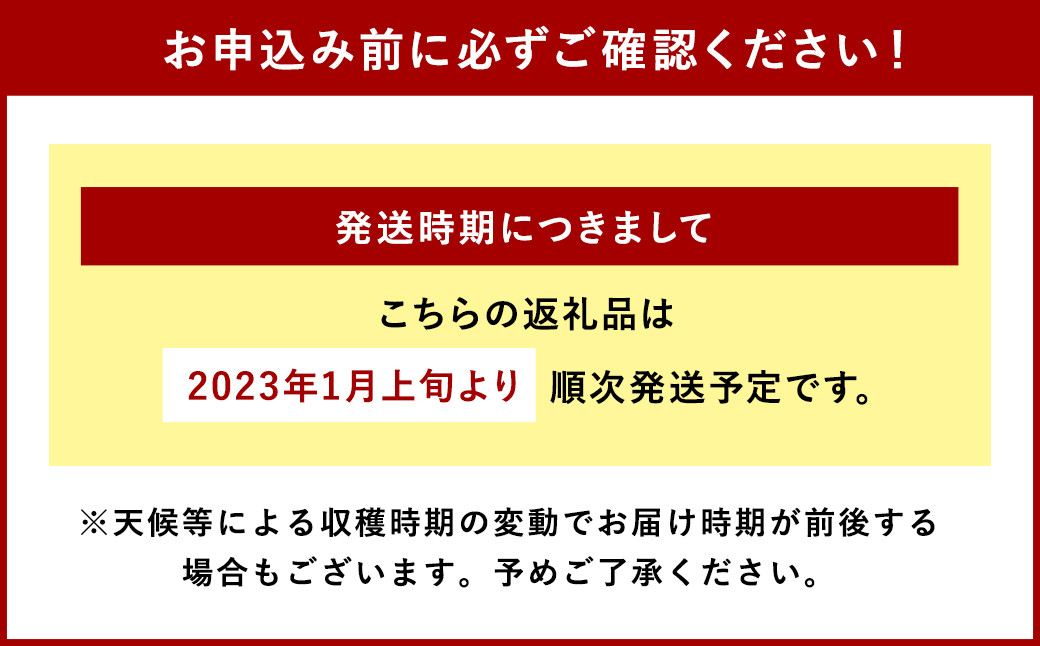 大分県産 甘太くん 2L 5kg