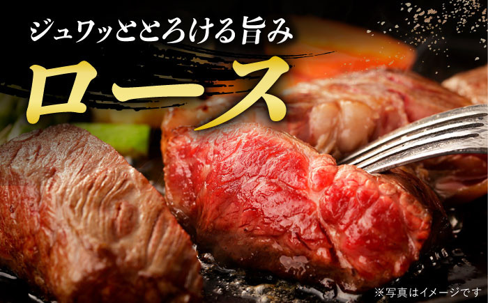 長崎和牛 ステーキ定期便（ ヒレ / ランプ / ロース ） 計3.36kg