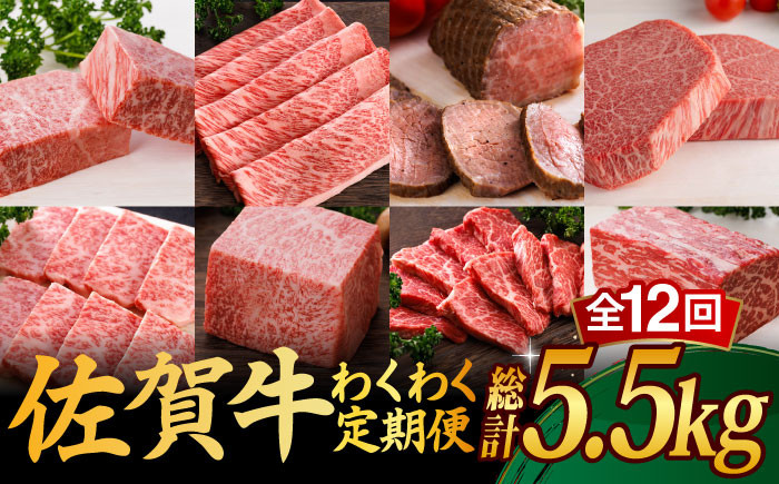 【全12回】 A5ランク 佐賀牛 霜降り 食べ比べ 定期便 約2-3人前 総計5.52kg /焼肉どすこい [UCC005] 最