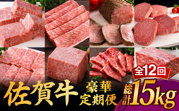 【全12回】 A5ランク 佐賀牛 最上級 プレミアム 定期便 約4-6人前 総計15.4kg 100万 /焼肉どすこい [UCC