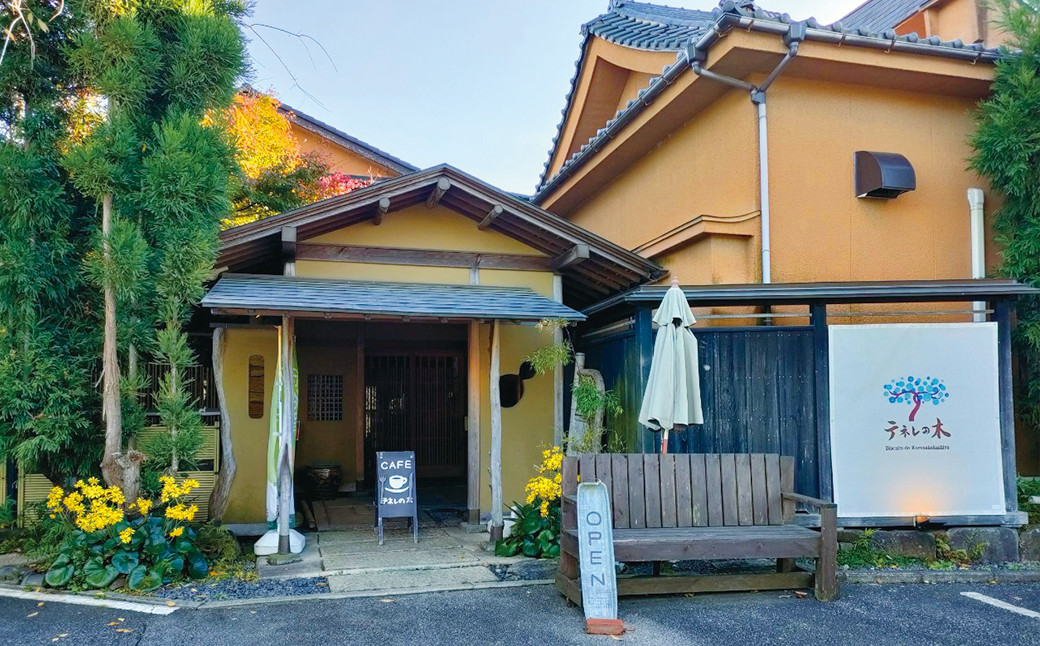 【3ヶ月定期便】 もりやさんち の のむヨーグルト 500ml 6本 セット ×3ヶ月