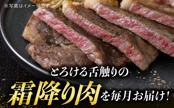 長崎和牛 霜降り定期便