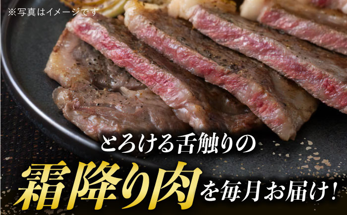 長崎和牛 霜降り定期便