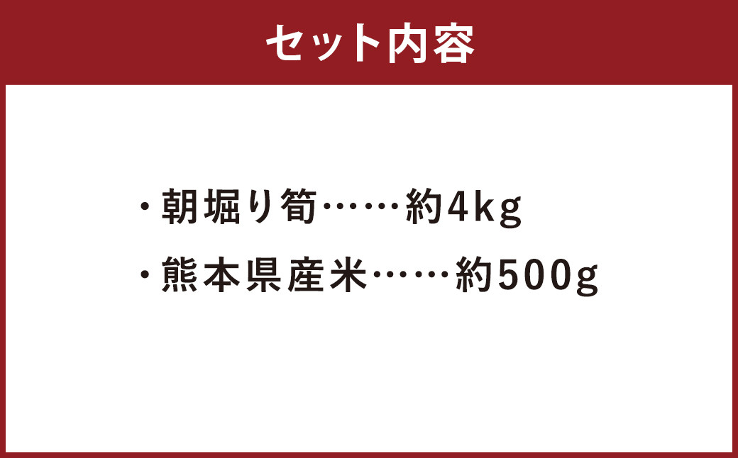 【2023年3月上旬発送開始】【数量限定】朝堀り 筍 4kg　熊本県産米  約500g 付き