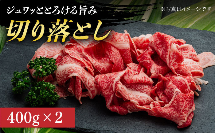 12回 定期便 長崎和牛 バラエティー