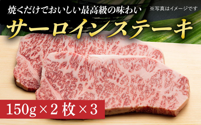 12回定期便 長崎和牛 バラエティー