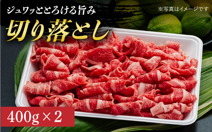 長崎和牛 赤身定期便