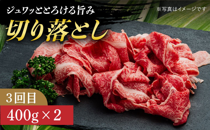 長崎和牛 霜降り定期便