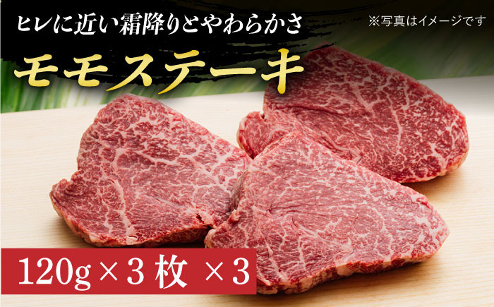 12回定期便 長崎和牛 バラエティー