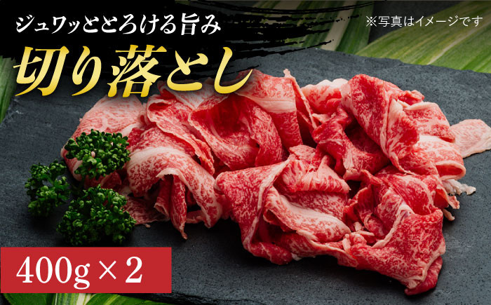 長崎和牛 霜降り定期便